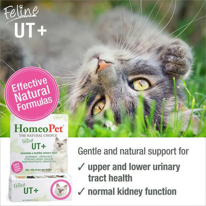 HomeoPet Feline UT+ Natural Liquid Supplement 15mL