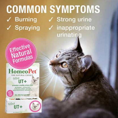 HomeoPet Feline UT+ Natural Liquid Supplement 15mL