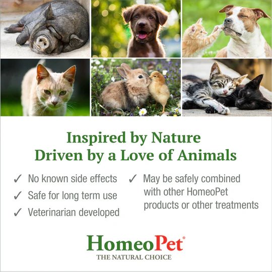 HomeoPet Feline Hairball Furball Natural Liquid Supplement 15mL
