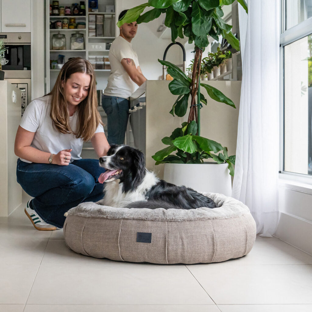 Superior Pet Goods Harley Dog Bed Puppacino Faux Fur