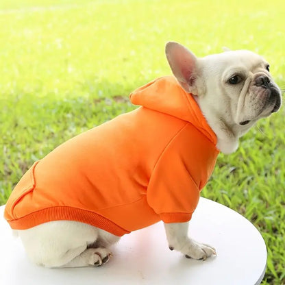 Cozy Puppy Teddy Hoodie Tangerine