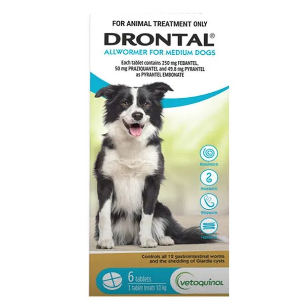 Drontal Dog 10kg 6 Tablets
