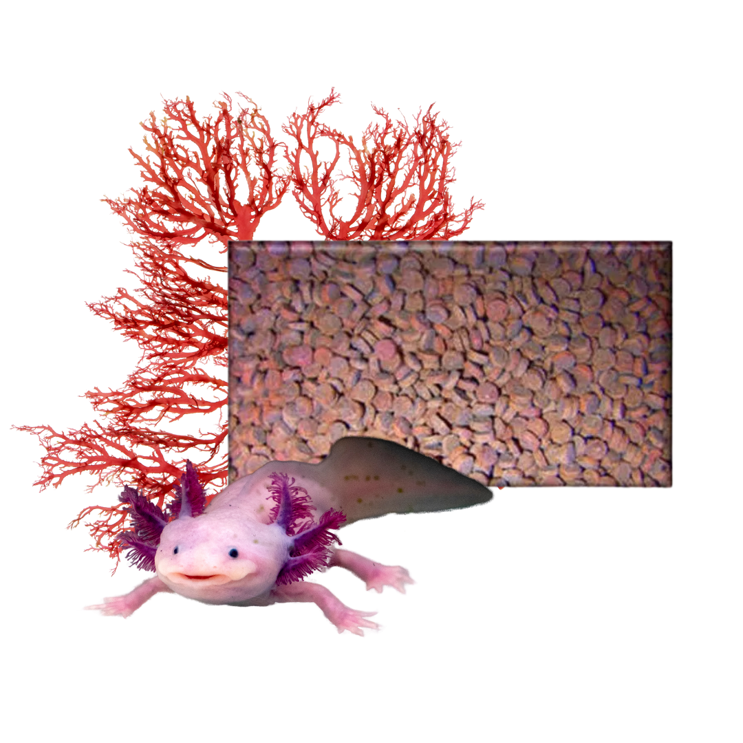 Feedwell Axolotl Pellets