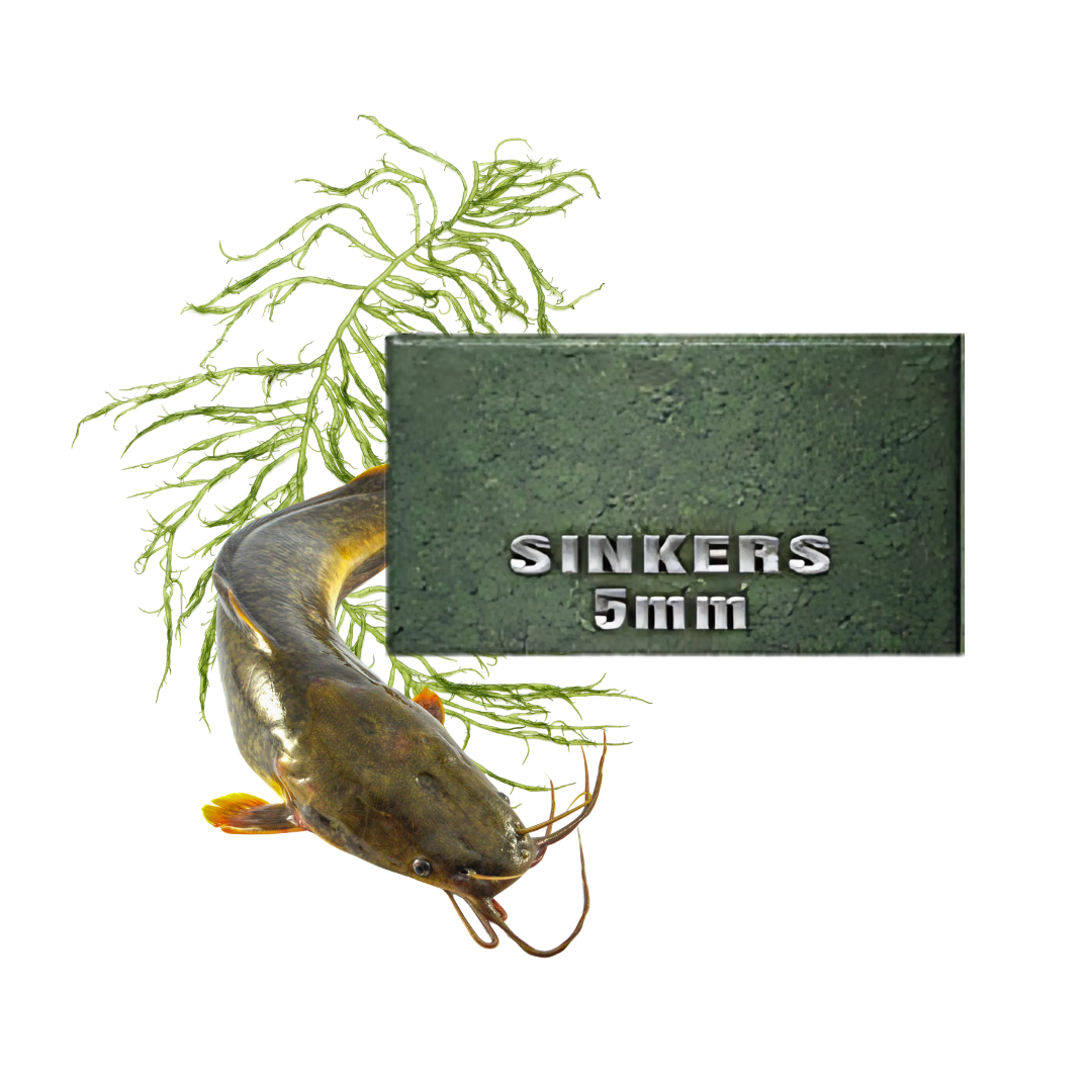 Feedwell Algae Sinker Fish Food
