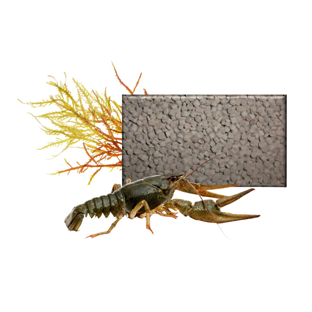Feedwell Crayfish Pellet