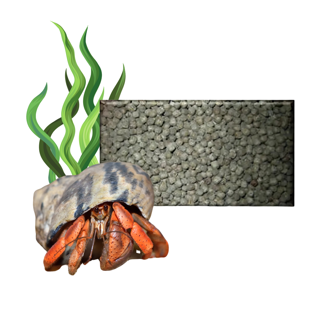 Feedwell Hermit Crab Pellet