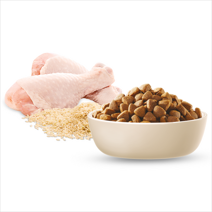 Advance Adult Medium Breed Chicken with Rice Dry Dog Food