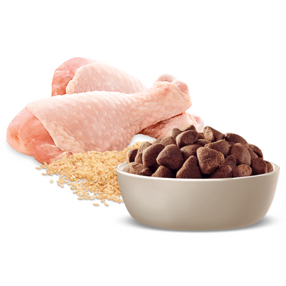 Advance Healthy Ageing Large Breed Chicken with Rice Dry Dog Food
