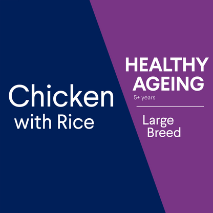 Advance Healthy Ageing Large Breed Chicken with Rice Dry Dog Food