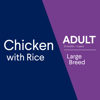 Advance Adult Large Breed Chicken with Rice Dry Dog Food