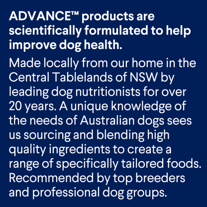 Advance Healthy Ageing Medium Breed Chicken with Rice Dry Dog Food