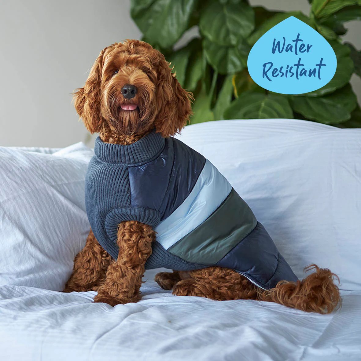 Kazoo Vovo Dog Puffer Jacket Seabreeze