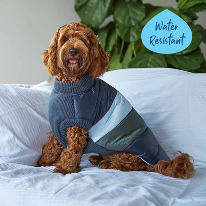 Kazoo Vovo Dog Puffer Jacket Seabreeze
