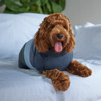 Kazoo Vovo Dog Puffer Jacket Seabreeze
