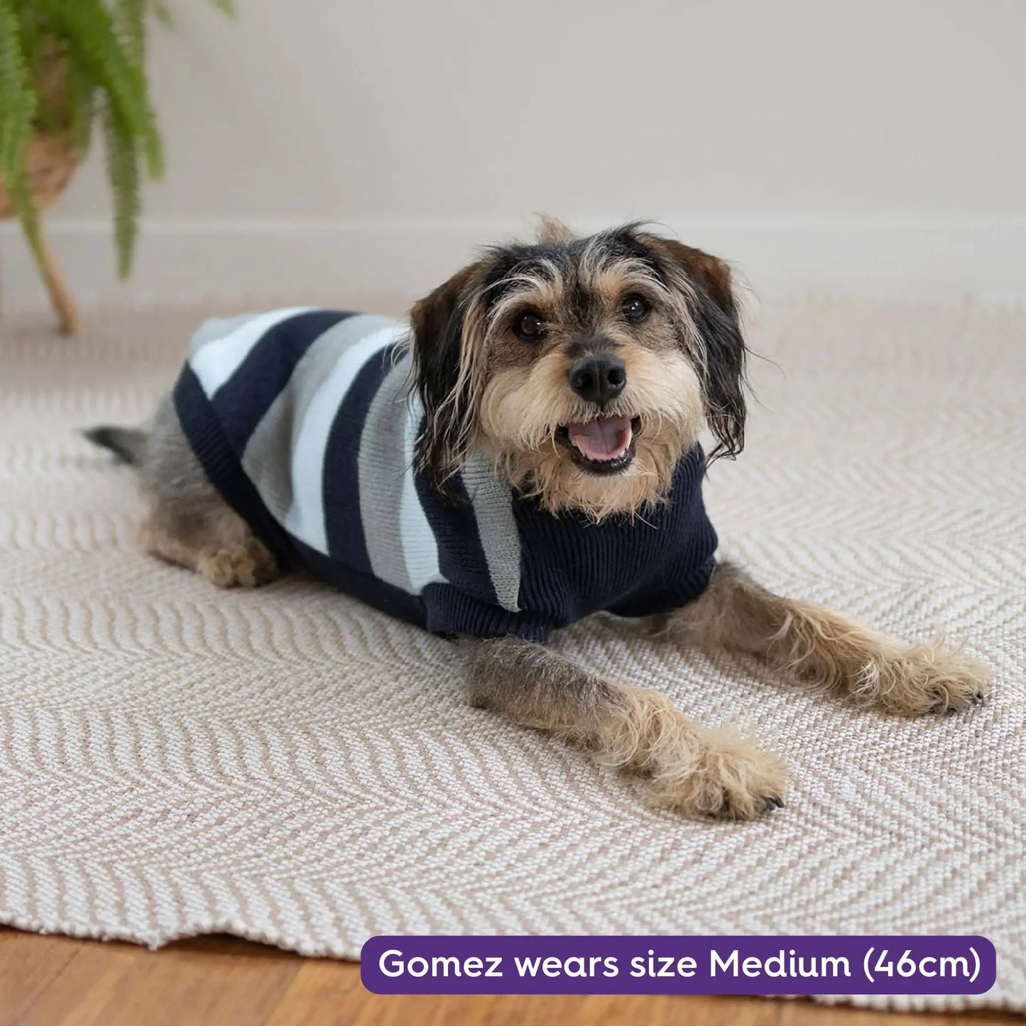Kazoo Chestie Dog Jumper Blue