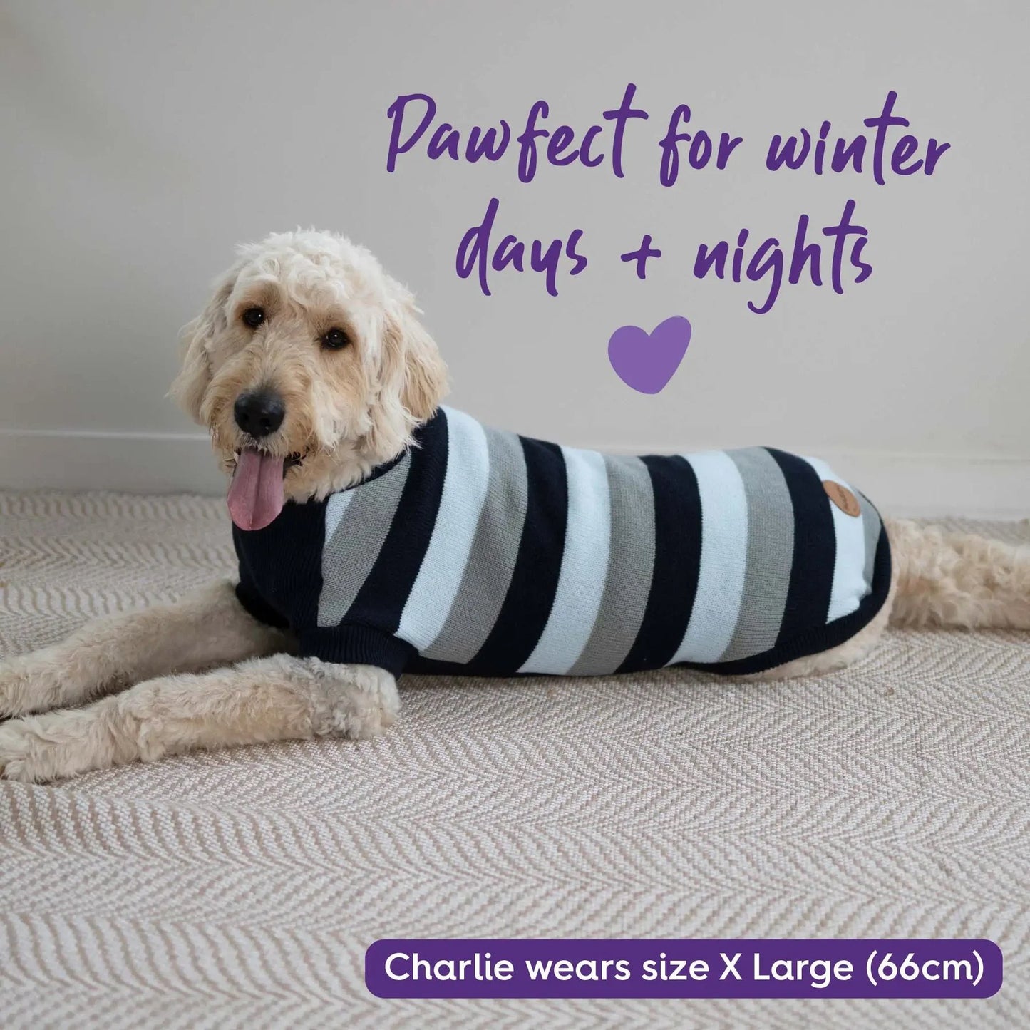 Kazoo Chestie Dog Jumper Blue