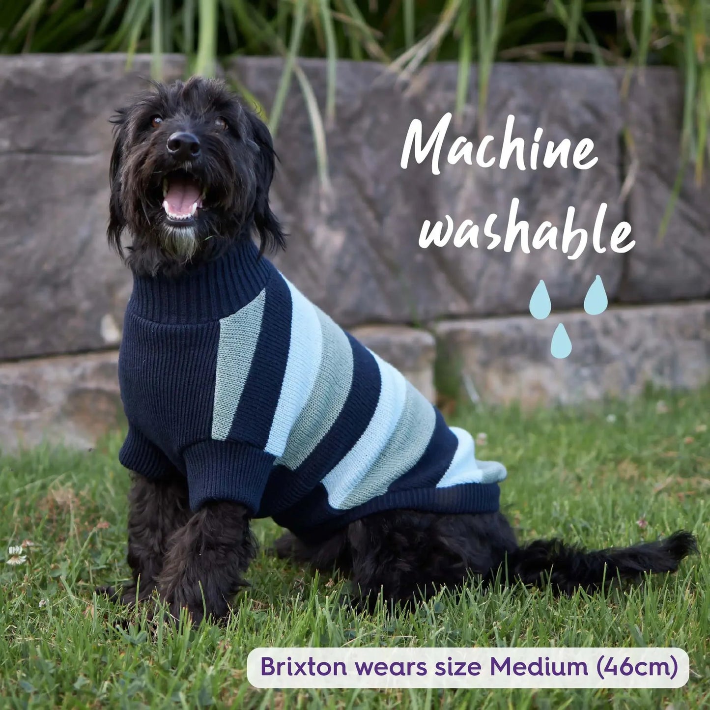 Kazoo Chestie Dog Jumper Blue