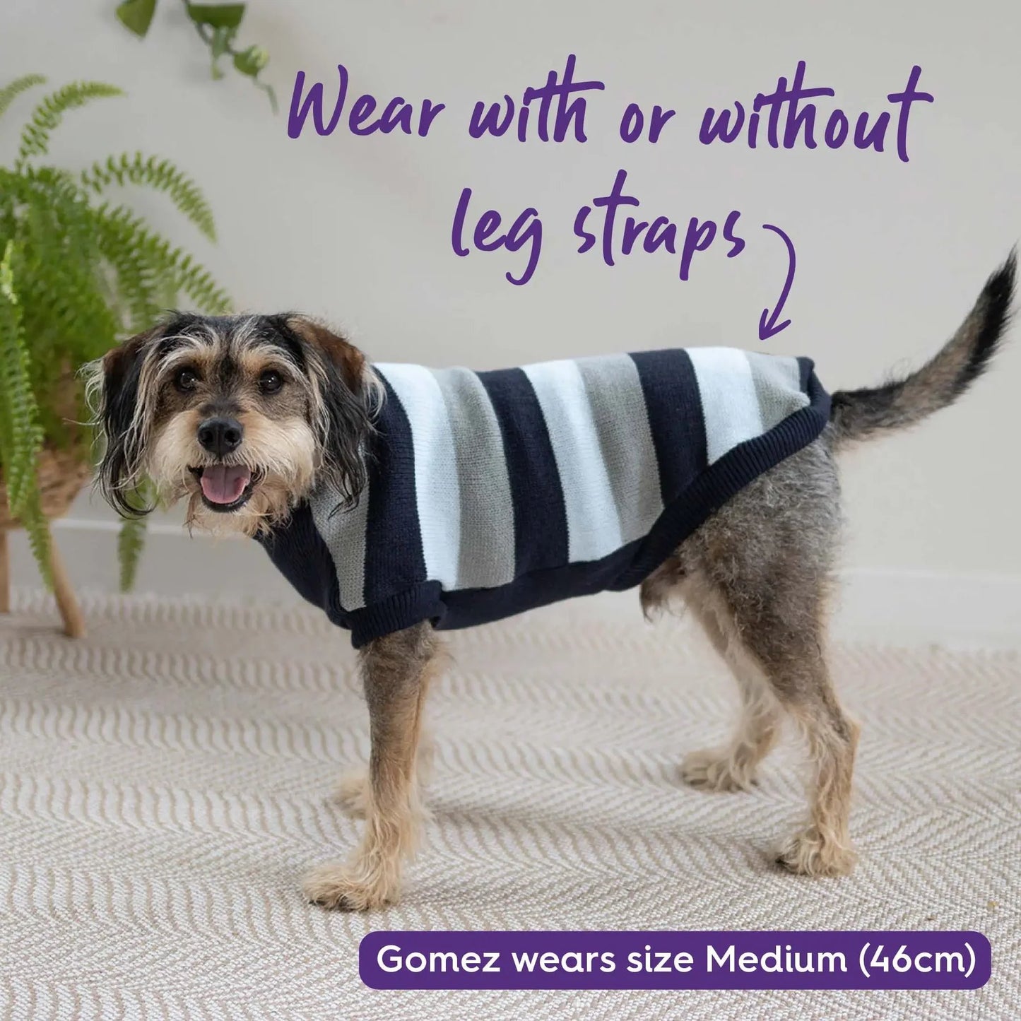 Kazoo Chestie Dog Jumper Blue