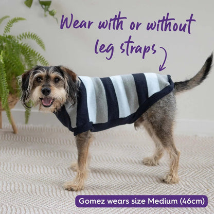 Kazoo Chestie Dog Jumper Blue