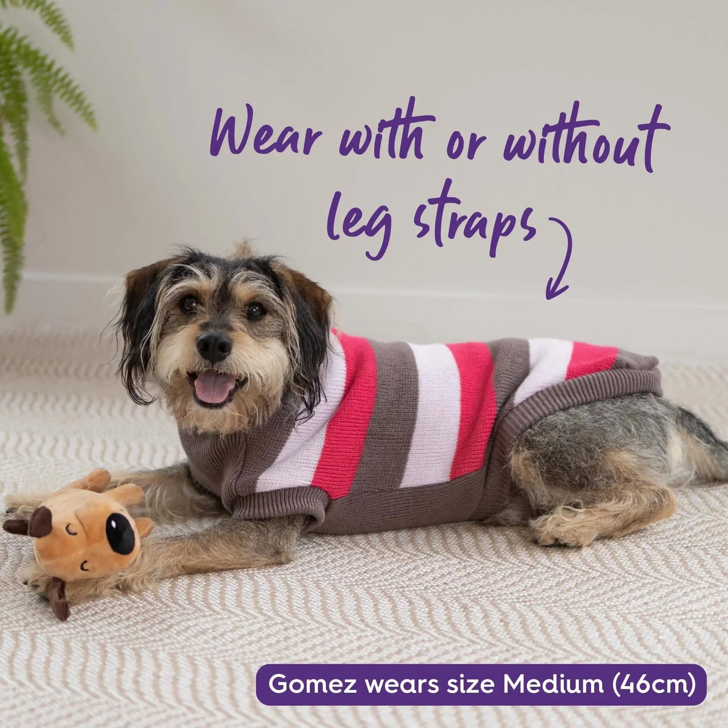 Kazoo Chestie Dog Jumper Pink