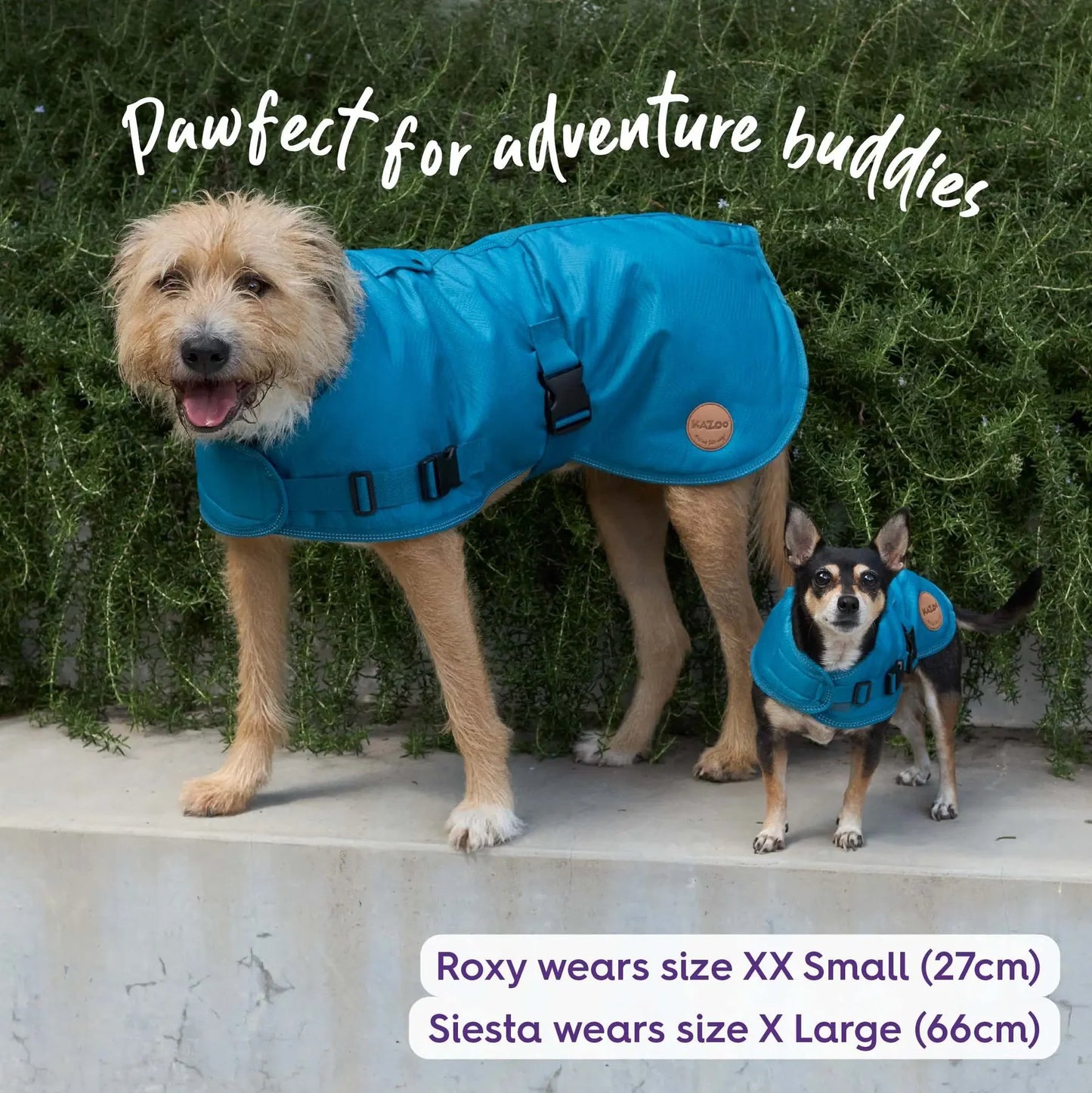 Kazoo Adventure Coat Blue