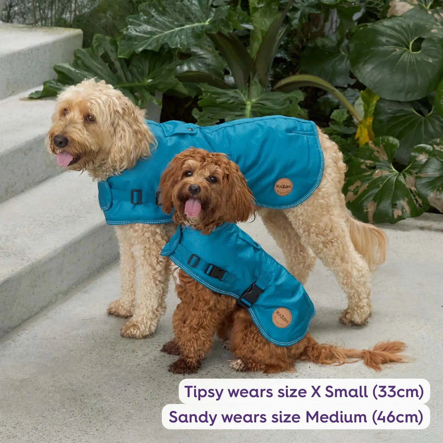 Kazoo Adventure Coat Blue