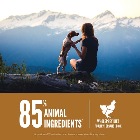 Orijen Puppy Dry Dog Food