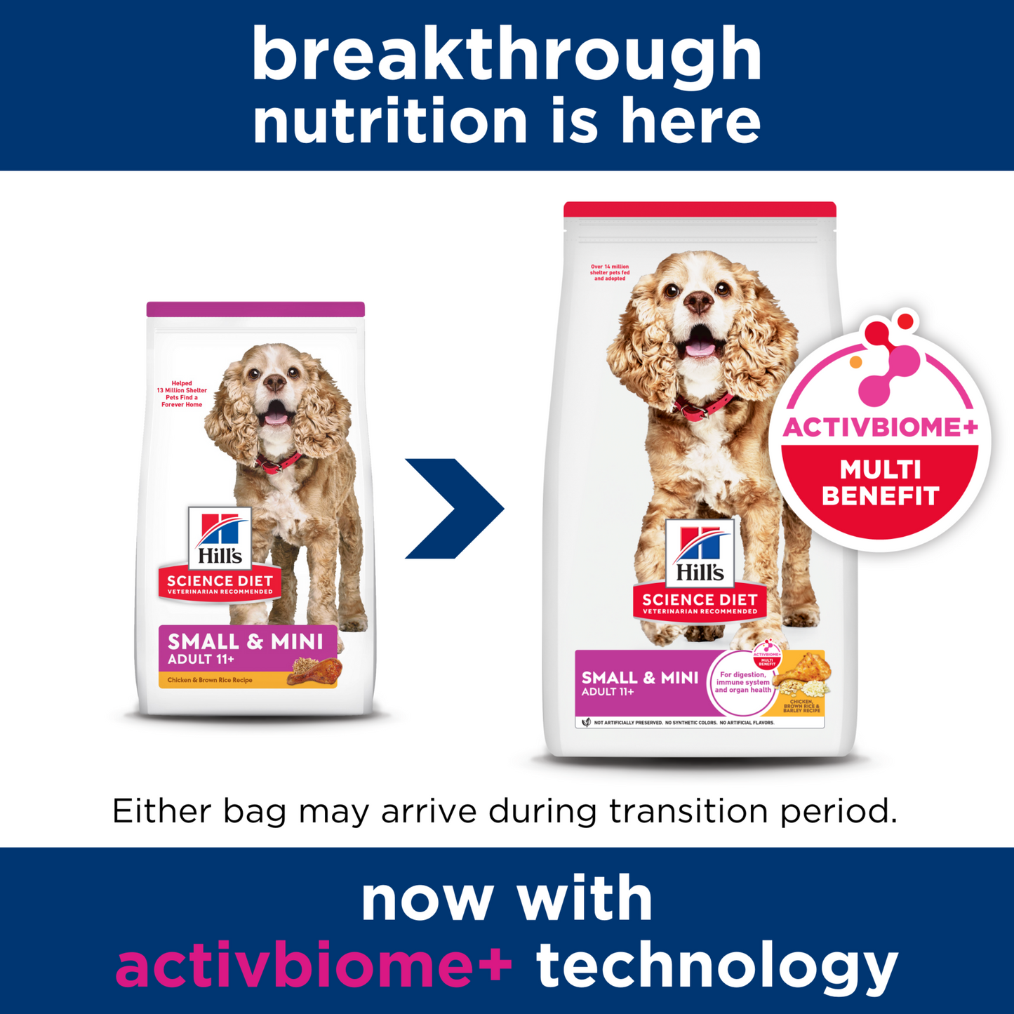 Hill's Science Diet Adult 11+ Small & Mini Chicken, Brown Rice & Barley Recipe Dry Dog Food