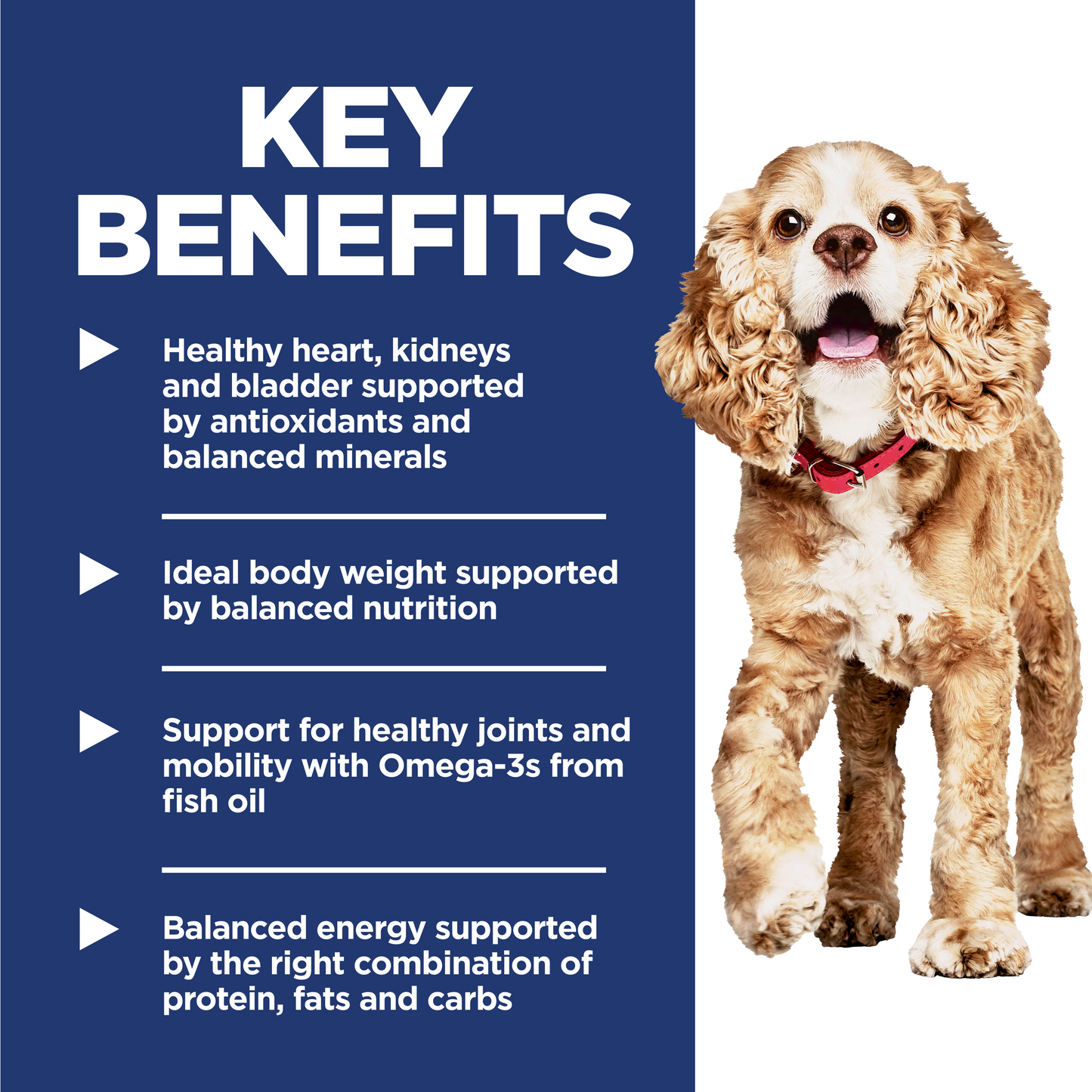 Hill's Science Diet Adult 11+ Small & Mini Chicken, Brown Rice & Barley Recipe Dry Dog Food