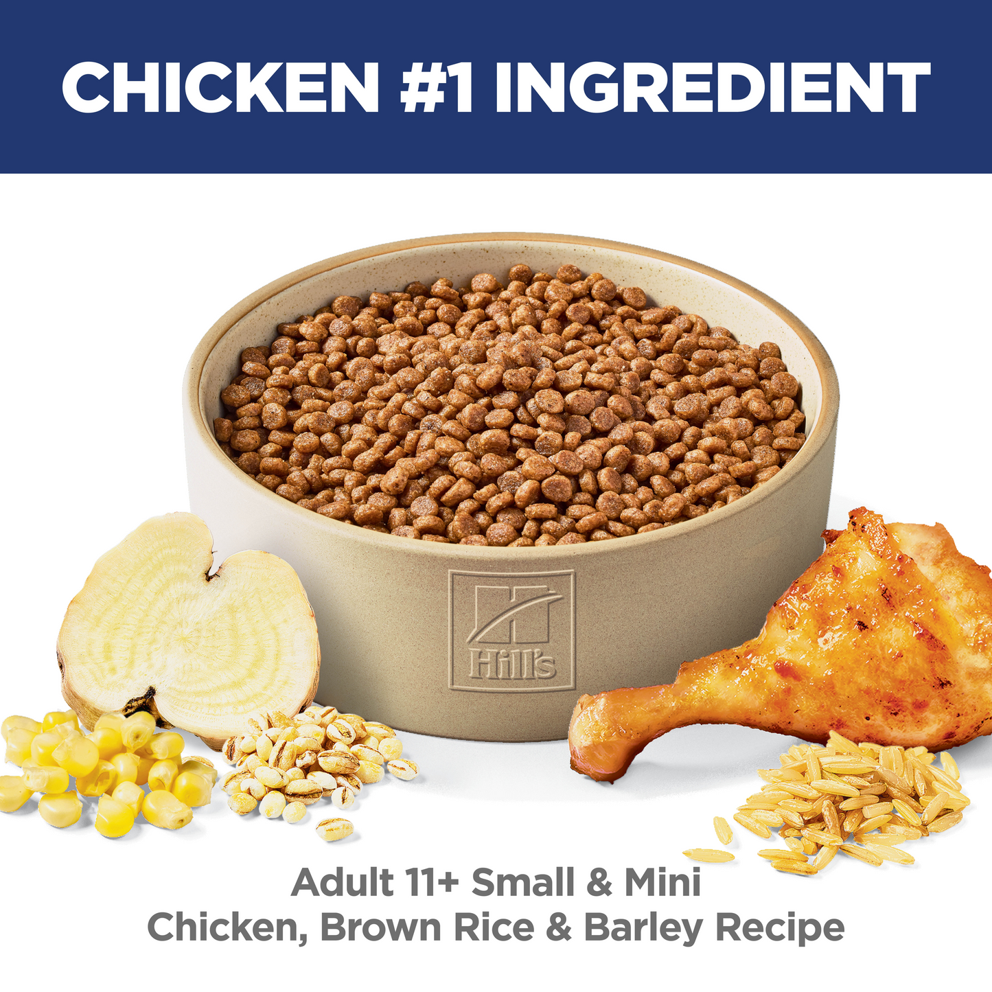 Hill's Science Diet Adult 11+ Small & Mini Chicken, Brown Rice & Barley Recipe Dry Dog Food