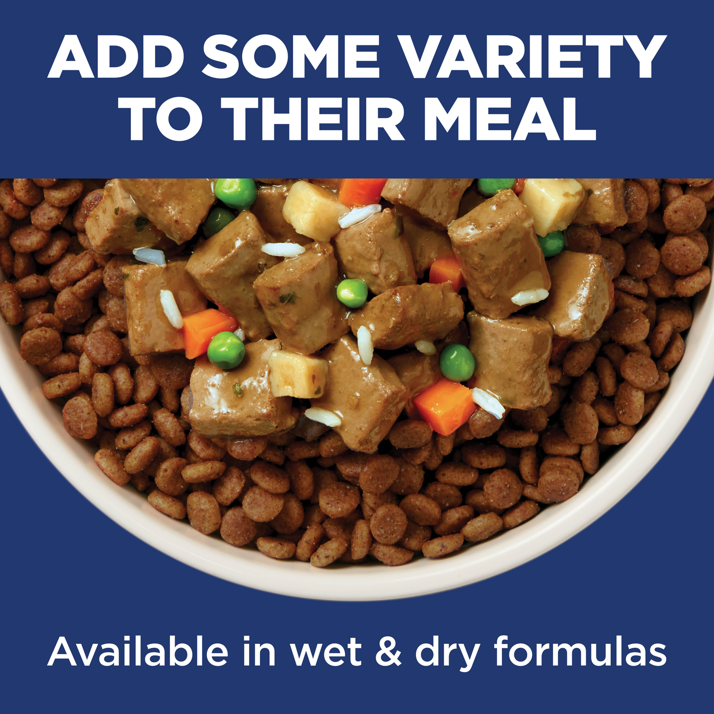 Hill's Science Diet Adult 11+ Small & Mini Chicken, Brown Rice & Barley Recipe Dry Dog Food