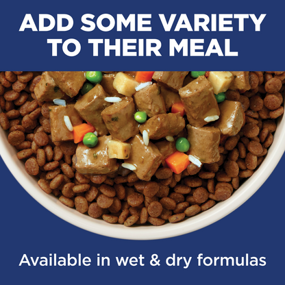 Hill's Science Diet Adult 11+ Small & Mini Chicken, Brown Rice & Barley Recipe Dry Dog Food