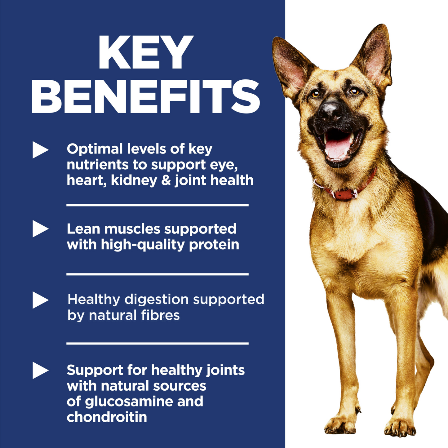 Hill's Science Diet Adult 6+ Large Breed Chicken Meal, Barely & Rice Recipe Dry Dog Food