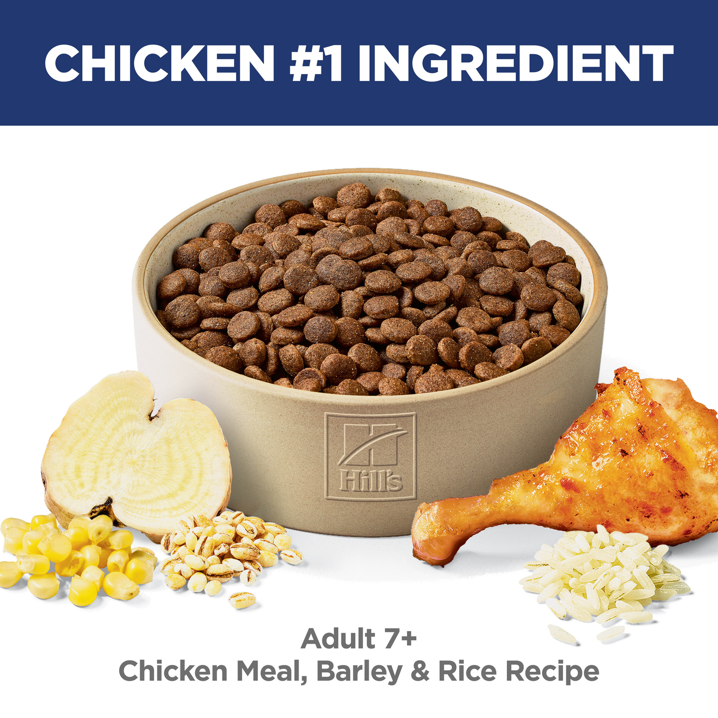 Hill's Science Diet Adult 7+ Chicken Meal, Barley & Rice Recipe Dry Dog Food