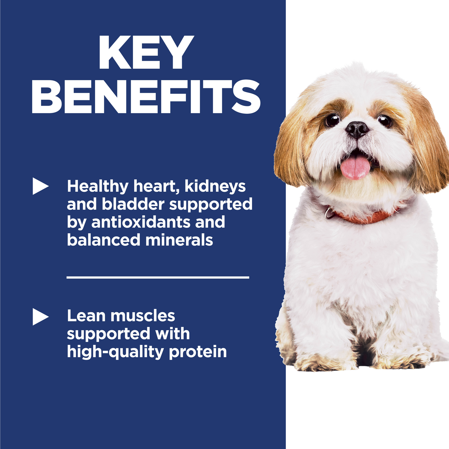 Hill's Science Diet Adult 7+ Small Bites Chicken Meal, Barley & Rice Recipe Dry Dog Food