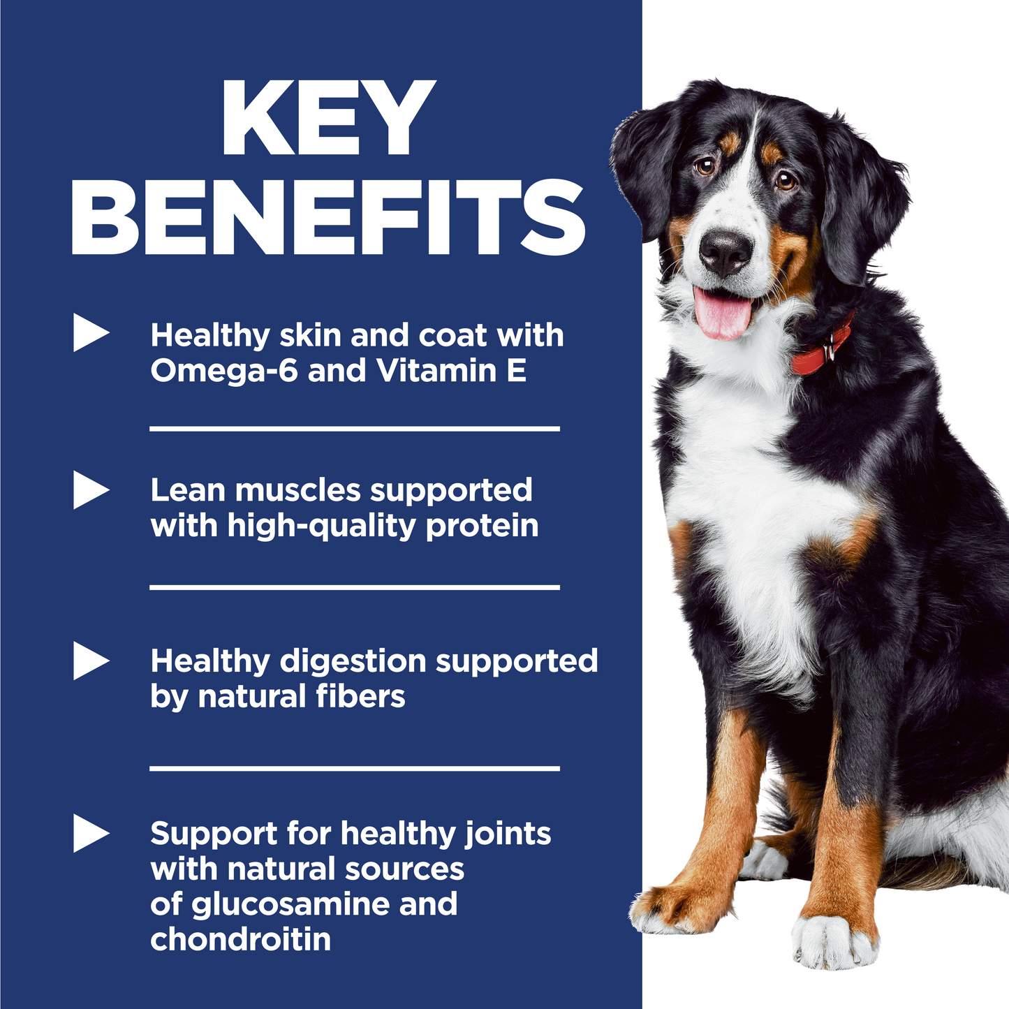 Hill's Science Diet Adult Large Breed Chicken & Barley Recipe Dry Dog Food