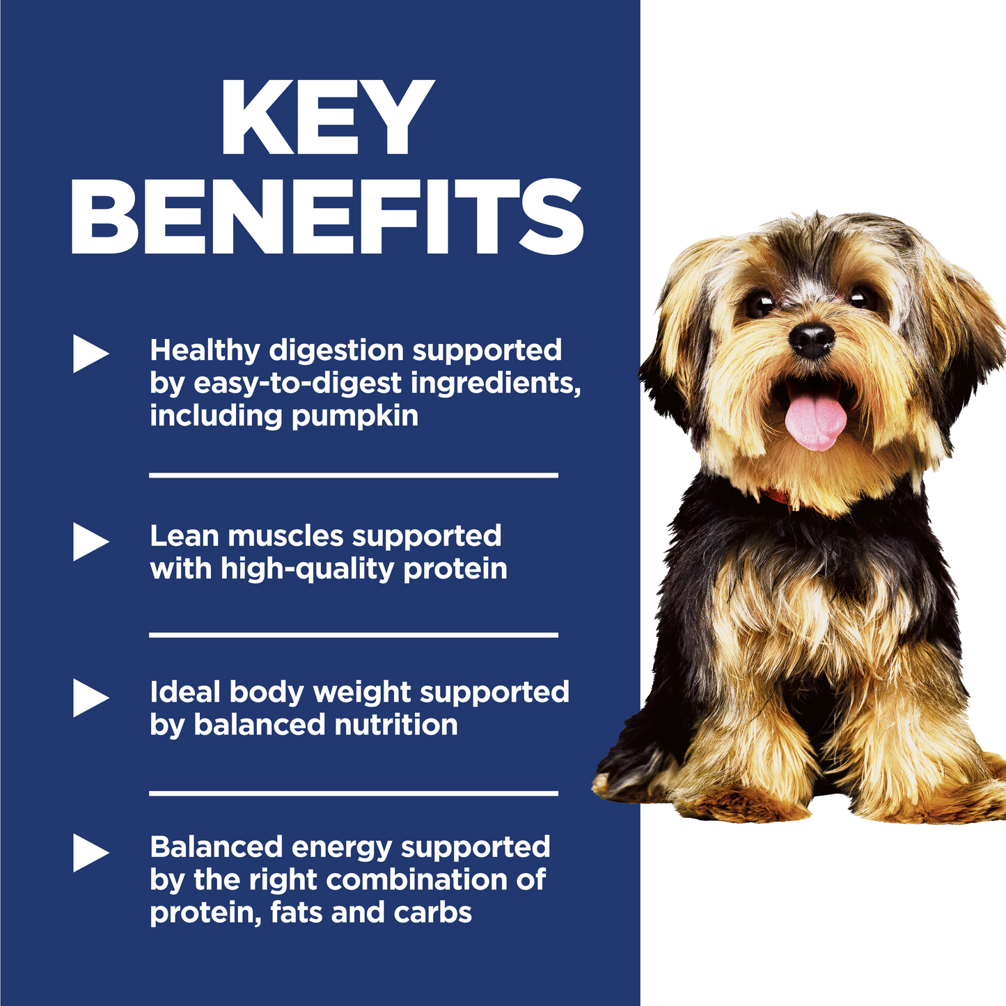 Hill's Science Diet Adult Small & Mini Chicken & Brown Rice Recipe Dry Dog Food