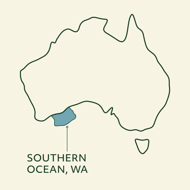 WildKind Southern Ocean Pilchards