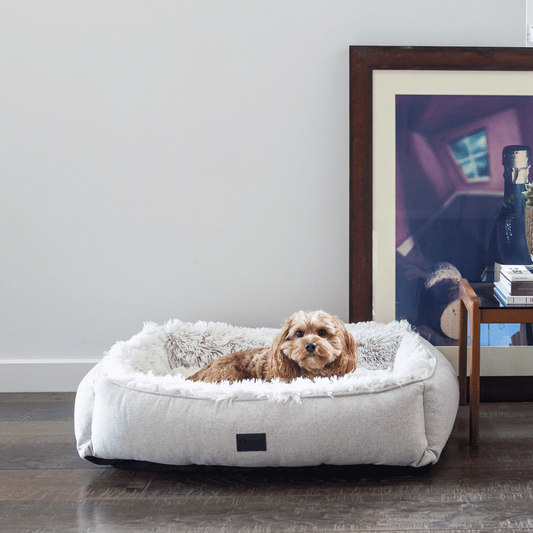 Superior Pet Goods Dog Lounger Aspen Faux Fur