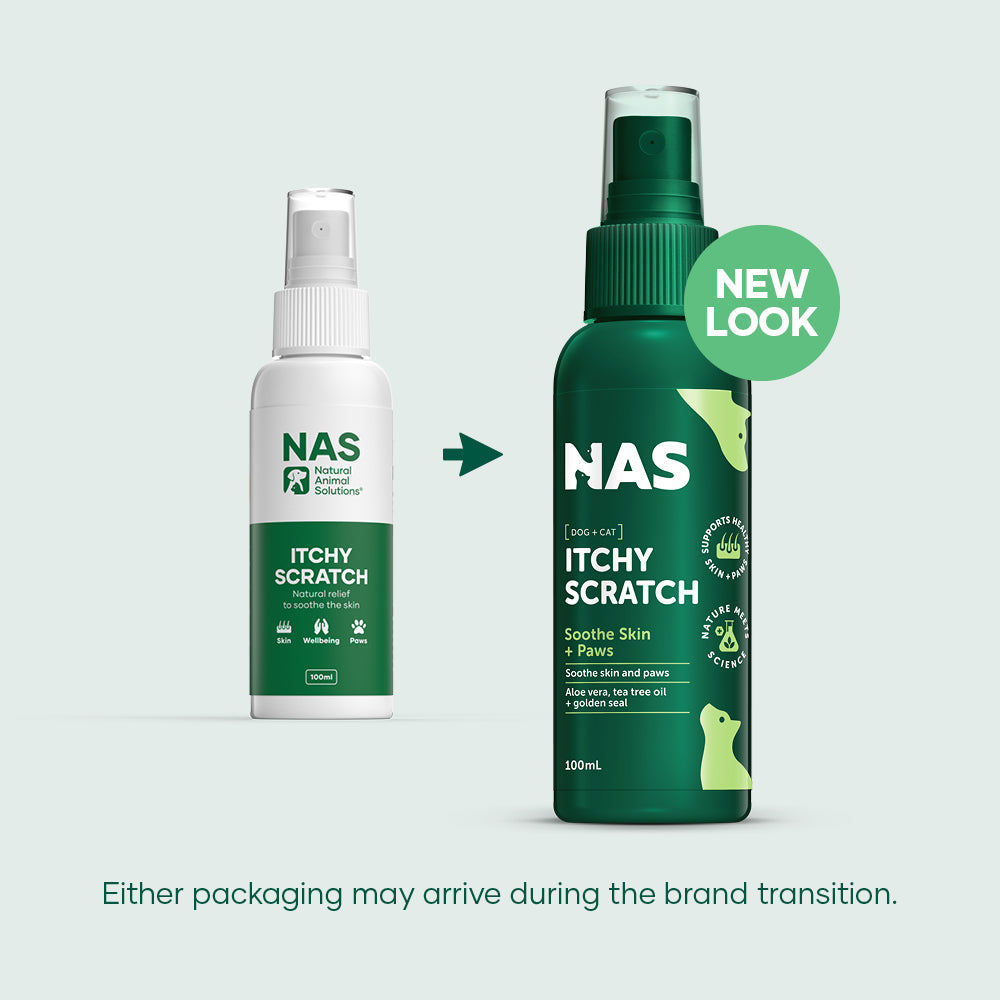 Natural Animal Solutions Itchy Scratch