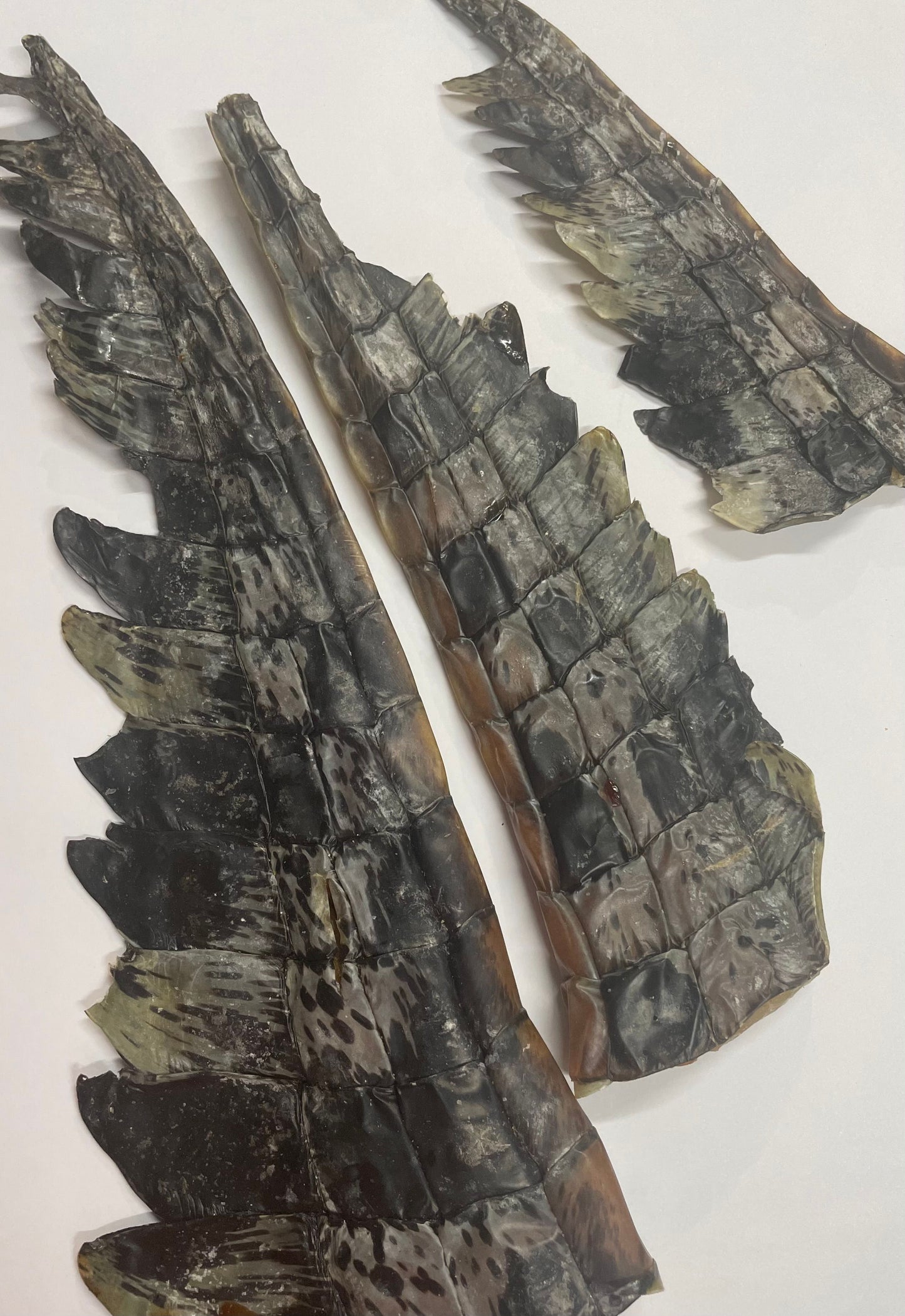 The Pawfect Butcher Dehydrated Crocodile Tails