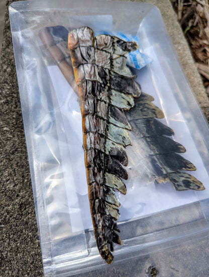 The Pawfect Butcher Dehydrated Crocodile Tails