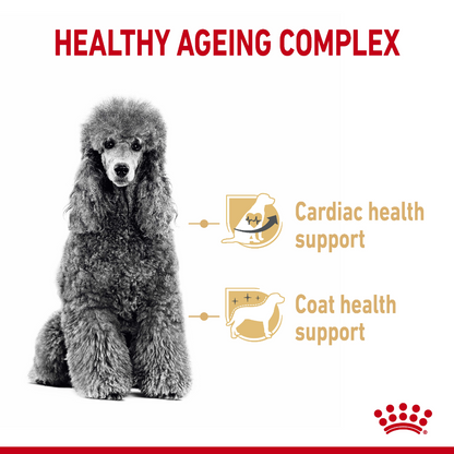 Royal Canin Poodle 8+ Adult Dry Dog Food