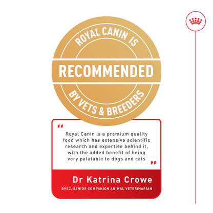 Royal Canin Poodle 8+ Adult Dry Dog Food