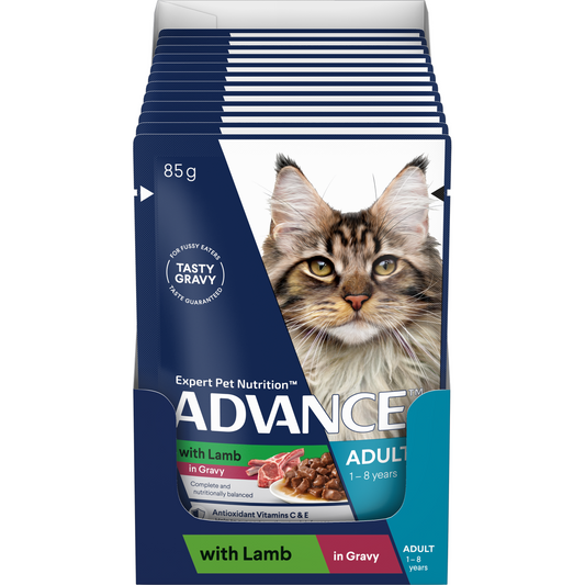 Advance Adult Wet Cat Food Lamb in Gravy