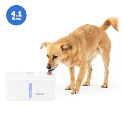 PetSafe Viva 4.1L Pet Fountain