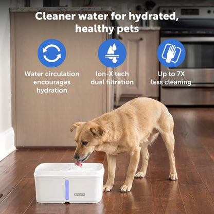 PetSafe Viva 4.1L Pet Fountain