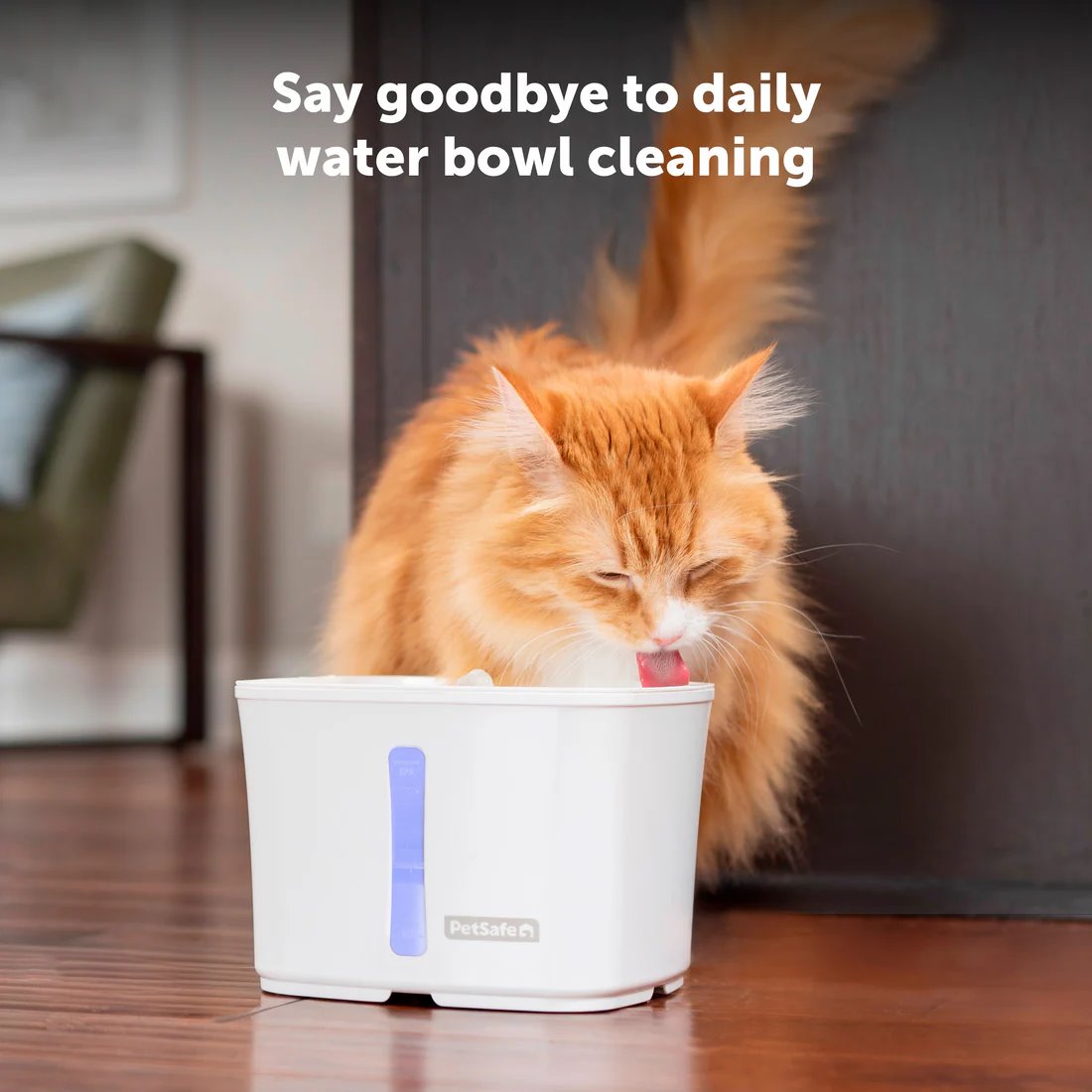 PetSafe Viva 1.8L Pet Fountain