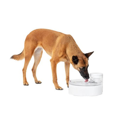 PetSafe Outlast 3.7L Pumpless Pet Fountain