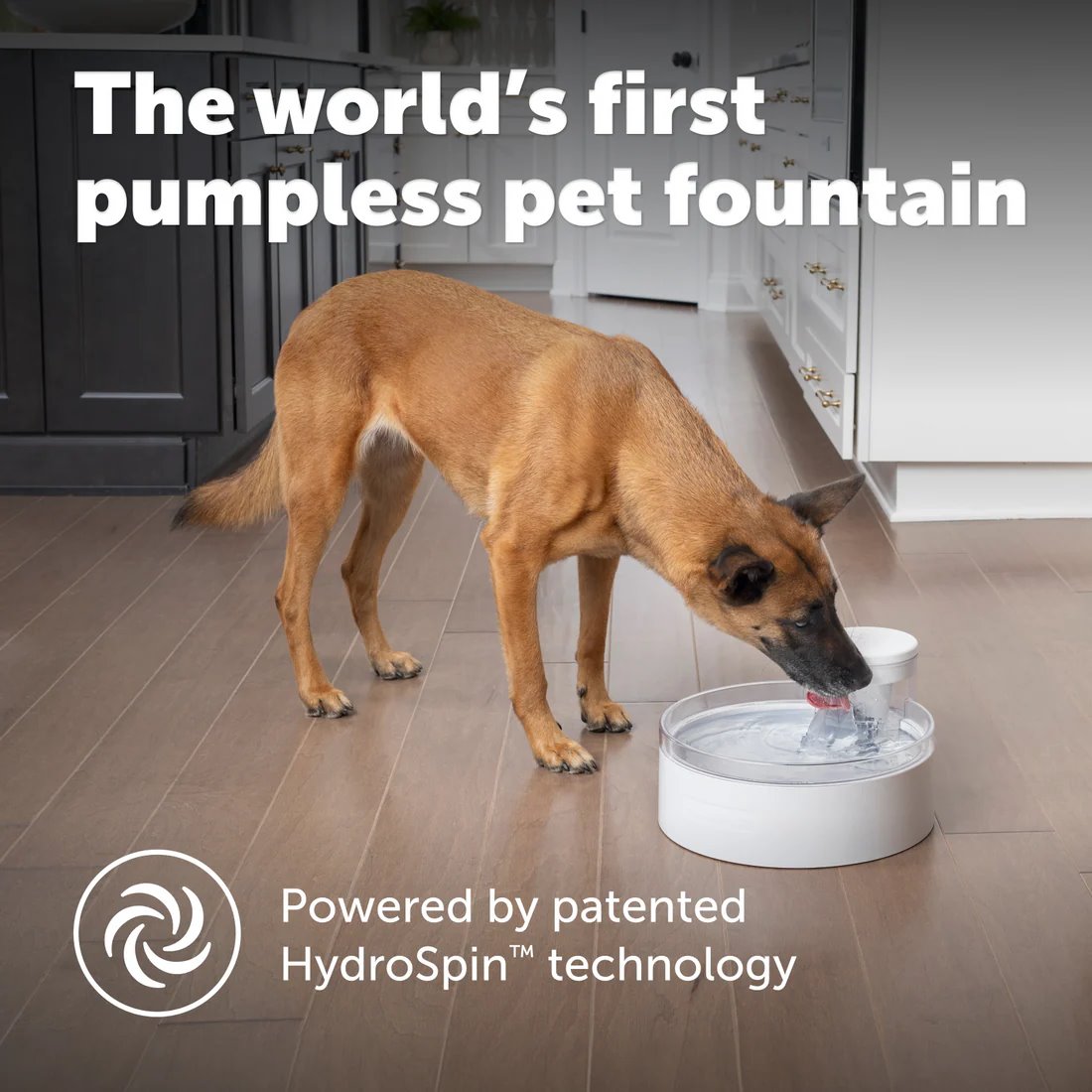 PetSafe Outlast 3.7L Pumpless Pet Fountain